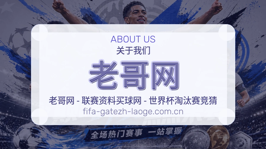 老哥网服务入口整理说明